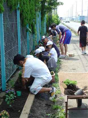 江南北小学校の緑のカーテン