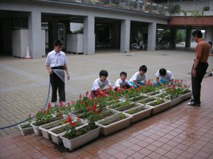 江南中学校花緑いっぱい