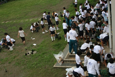 中条中学校菊つくり