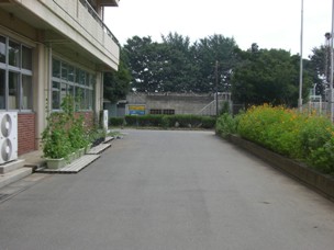 妻沼東中学校学校花いっぱい事業