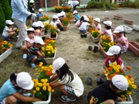 花を植える児童11