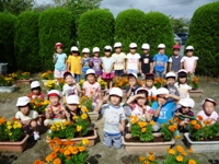 花を植える児童16