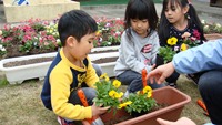 三人の子ども達が黄色い花を植えています
