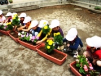 花を植える児童7