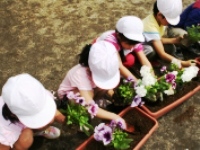 花を植える児童1