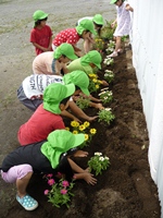 花を植える児童６