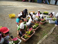 花を植える児童１２