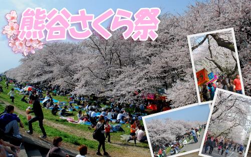 熊谷さくら祭イメージ