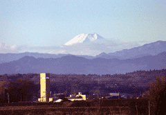 大里行政センターと富士山（久下の荒川堤から）