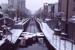 j星川の雪景色