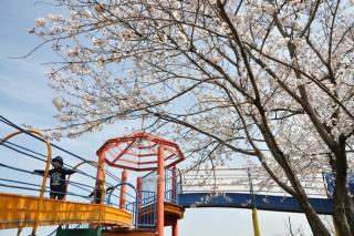 桜リバーサイドパーク