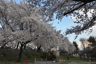 万平公園