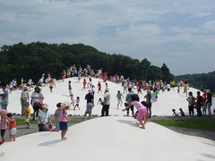 武蔵丘陵森林公園の写真1