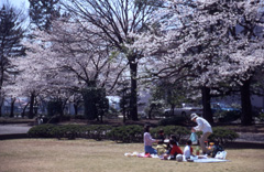 熊谷さくら運動公園の写真1