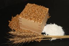 収穫された小麦と小麦粉