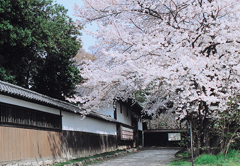 根岸家長屋門