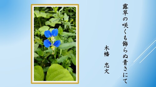 一般の部27