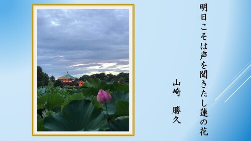 一般の部29