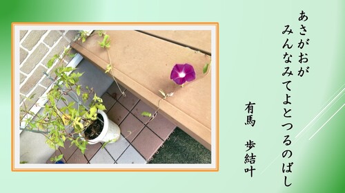 ジュニアの部45