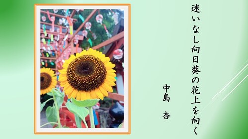 ジュニアの部49