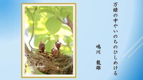一般の部3