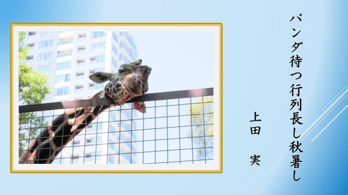一般の部7