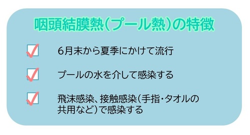 咽頭結膜熱（プール熱）の特徴