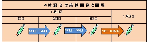 4種混合予防接種の接種回数と間隔