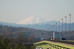 久下橋からみた富士山の様子