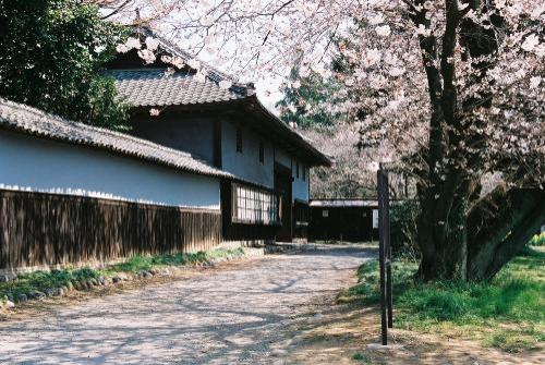 春の根岸家長屋門