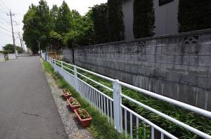 通学路のプランター