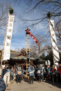 高城神社にて梯子乗り