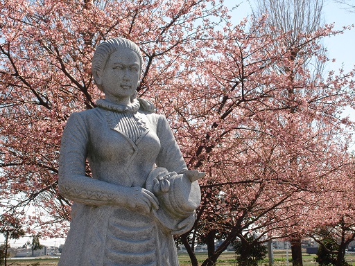 荻野吟子像と満開の「吟子桜」