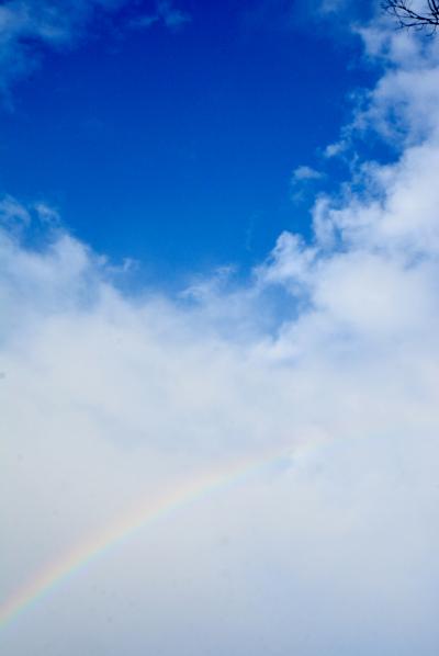 2月15日 雨上がりの空に大きな虹が現れました 熊谷市ホームページ