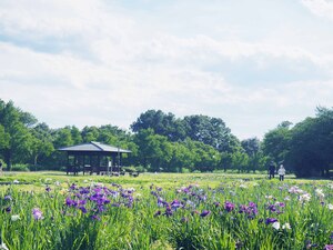 別府沼公園1