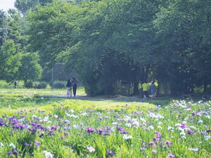 別府沼公園2