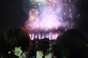 花火8