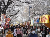 祭りの様子の写真