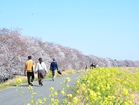 祭りの様子の写真