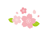 桜のイラスト