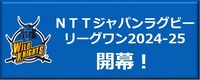 ワイルドナイツのバナー
