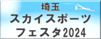 スカイスポーツフェスタのボタン