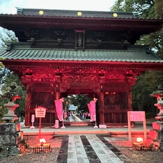 ライトアップの様子