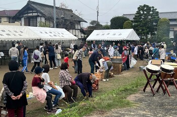コスモス祭りの様子1