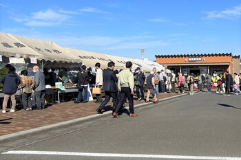 視察をする市長