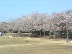 別府沼公園画像1