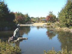 別府沼公園画像4