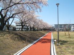 伊勢町ふれあい公園1