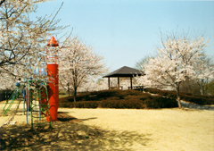 写真:駒形公園2