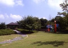 写真:駒形公園3